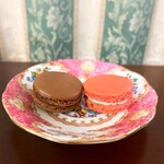 パティスリー ラ・グリシーヌ - マカロン(ショコラ・ピスタージュ)