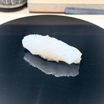 くるますし - アオリイカ