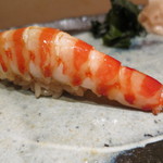 鮨龍尚 - 車海老　長崎