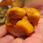 鮨龍尚 - 雲丹　北海道利尻