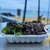 Steak Shack - 料理写真:
