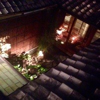 雪梅花 菜根譚 - 