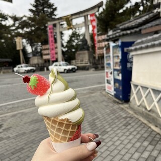 北野プリン Harutsuge_1