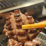 お肉一枚売りの焼肉店 焼肉とどろき - 