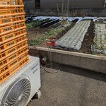 蘭園亭 - 外観（麺箱）