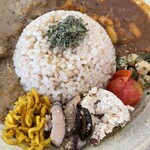 本と玄米カレー ヨスカ - 