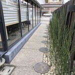 抹茶さろん ひとこと - 