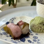 おかき処　虎笛 - 春の和菓子　うぐいす餅