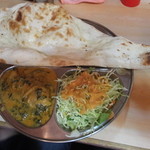 南印度ダイニング - 日替わり（サグチキンカレー）