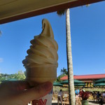 Dole Plantation - ドールホイップレギュラーコーン