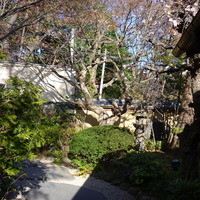 東京 芝 とうふ屋うかい - 