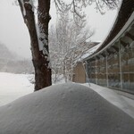 別邸 仙寿庵 - 左側は、ゲレンデのように広くて、雪遊びが出来ます。