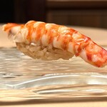 髙橋 謙太郎 - 【 車海老 】