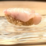 髙橋 謙太郎 - 【 さわら 】