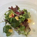 リストランテ ベリーニ - 