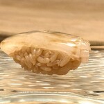 髙橋 謙太郎 - 【 アオリイカ 】