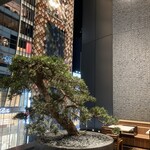 TORAYA GINZA - 