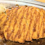 ゴーゴーカレー 神田駅南口パーク - ロースカツカレー中