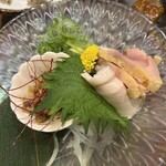 地鶏焼き鳥 かどまつ - 