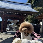 そば処 湧水 - 深大寺の境内で