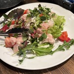 ダンヴィーヴァ - 