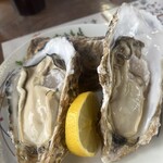 いさりび食堂 - 