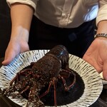 鉄板料理 かえる - 