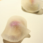 マンサルヴァ - 