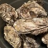 広島牡蠣処 バケツ - 