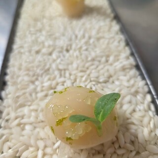 リゴレッティーノ_2