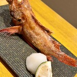 炉ノ鳥 - 原始焼き（キンキ）