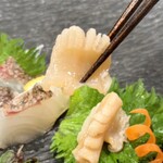 炉ノ鳥 - 炭炙り刺しと貝刺し