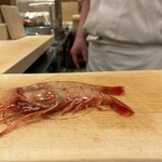 鮨いしかわ - でかい牡丹海老