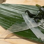 鮨いしかわ - ヤリイカさん剣先