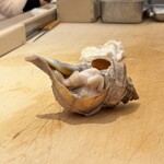 鮨いしかわ - 大柄なつぶ貝