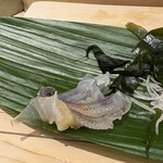 鮨いしかわ - ヤリイカさん足