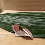 鮨いしかわ - アジさん