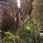 コナズ珈琲 つくば - 