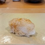 鮨中村 - アオリイカ(天草)　完熟かぼす