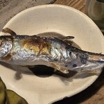 いわや - アマゴ