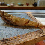 寿司栄 - 富山・新港産のガス海老の姿