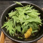 手打そば 一の梅 - 牡蠣のつけせいろ　前