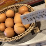 たまごぐらし - 