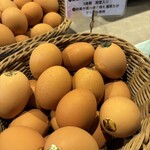 たまごぐらし - 