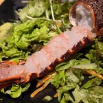 完全個室居酒屋 九州蔵 飯田橋店 - 