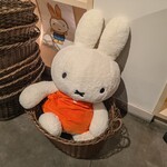 ディック・ブルーナ テーブル - 