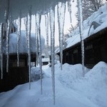 鶴の湯温泉 - こんな氷柱が・・・