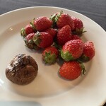 XEX ATAGO GREEN HILLS / Salvatore Cuomo Bros. - 