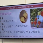 横浜ストロベリーパーク - 