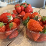 横浜ストロベリーパーク - 